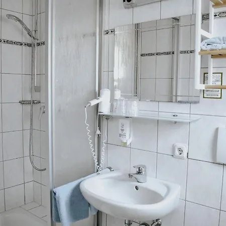 Πανσιόν Landgasthof Will 3*