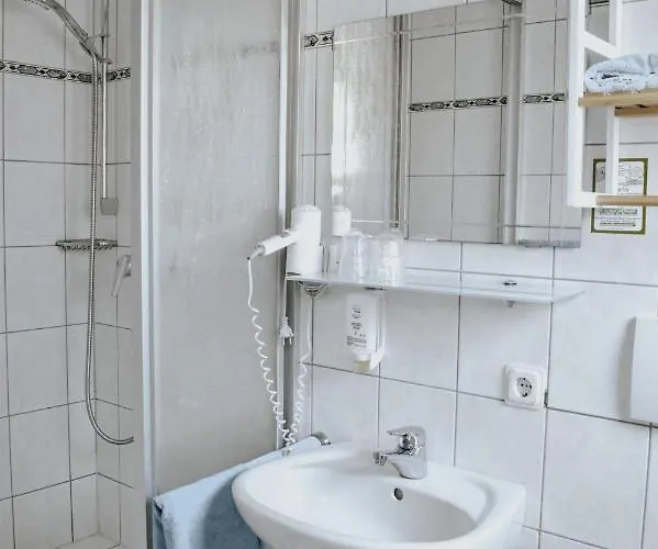 Гостевой дом Landgasthof Will 3*